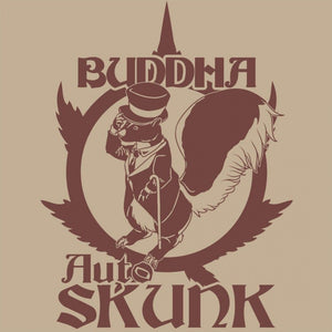 Auto Skunk 3 Semillas Buddha Classics