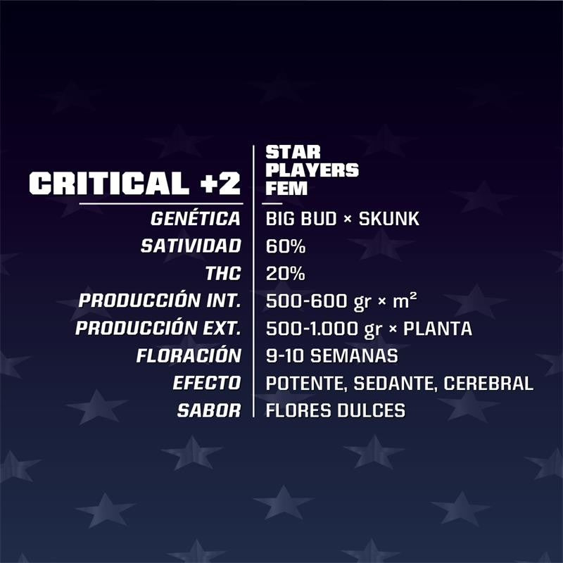 Critical+2 12 Semillas Bsf Seeds