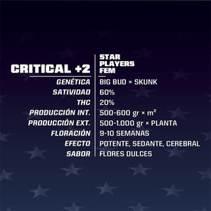 Critical+2 12 Semillas Bsf Seeds