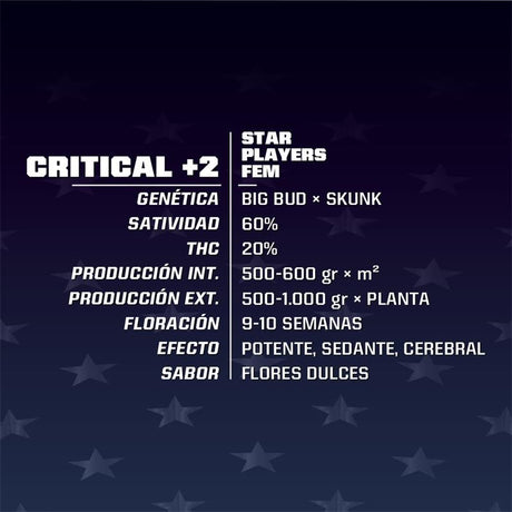 Critical+2 12 Semillas Bsf Seeds
