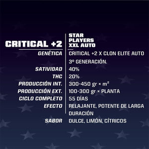 Critical+2 XXL Auto 2 Semillas Bsf Seeds