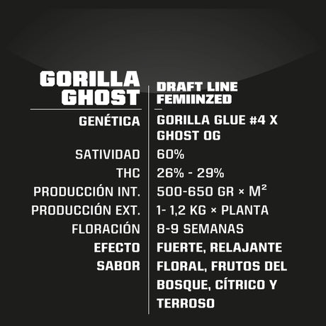 Gorilla Ghost 7 Semillas 2021 Bsf Seeds
