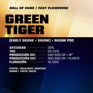 Green Tiger 12 Semillas BSF Seeds
