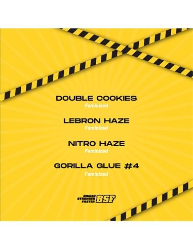 High Voltage Feminized Mix 4 Semillas BSF Seeds