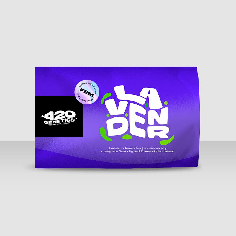 Lavender 4:20 7 Semillas