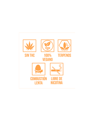 Hemp Cones Terpeno Gelato Berry - Lion Rolling Circus