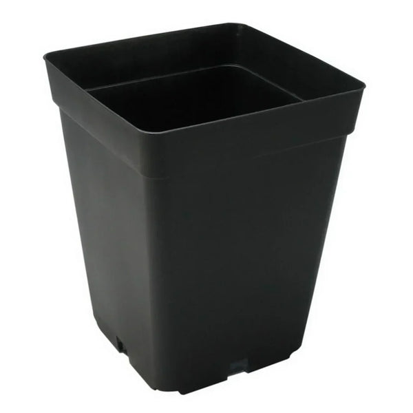 maceta_grande.png?v=1771956636