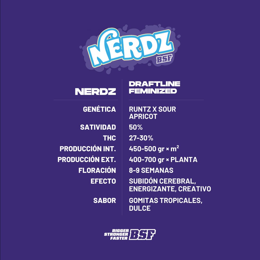 Nerdz 2 Semillas Bsf Seeds