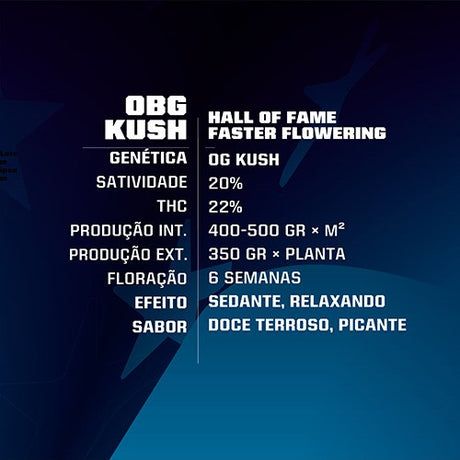 OBG Kush Fast Version 7 Semillas BSF Seeds