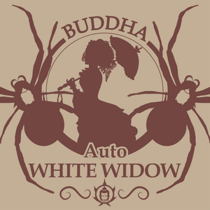 Auto White Widow 3 Semillas Buddha Classics