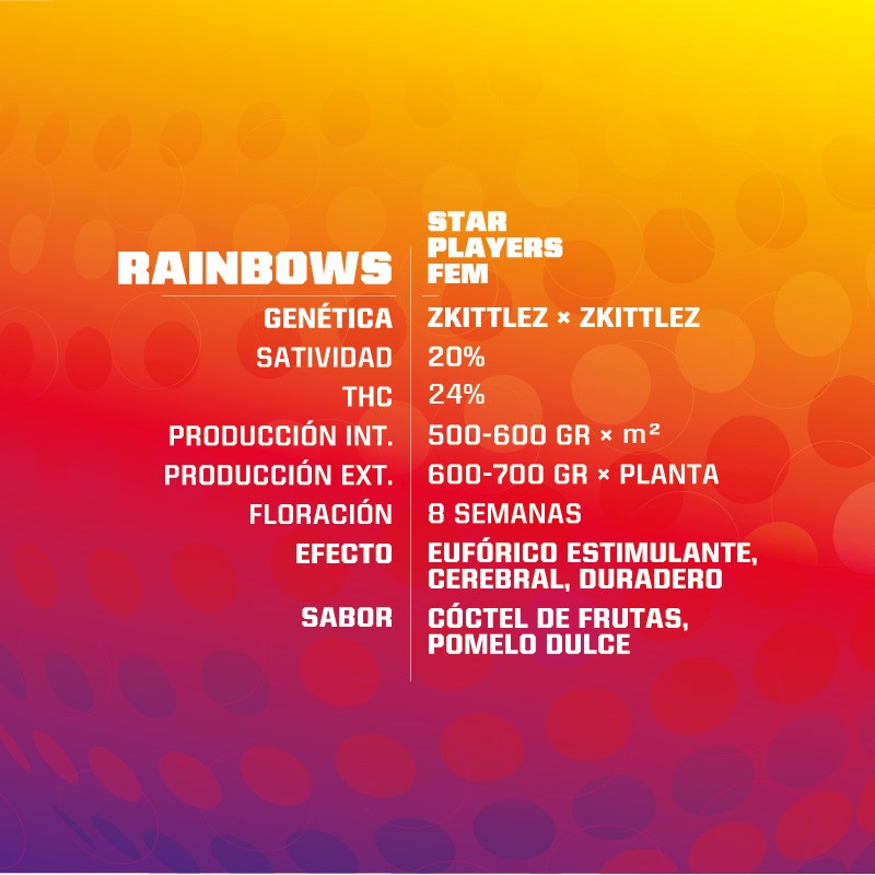 Rainbows 7 Semillas Bsf Seeds