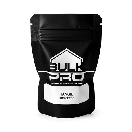 Tangie 100u - Bulk Pro - vista frontal