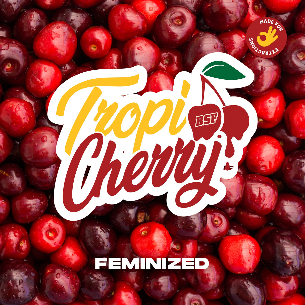 TropiCherry 4 Semillas Bsf Seeds