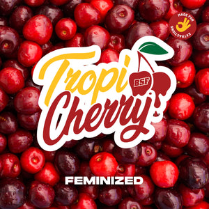 TropiCherry 4 Semillas Bsf Seeds