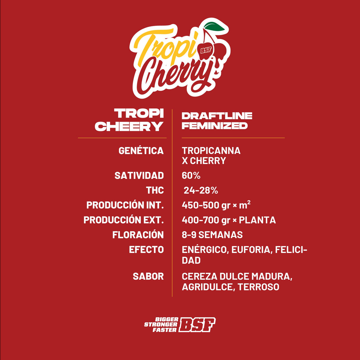 TropiCherry 4 Semillas Bsf Seeds
