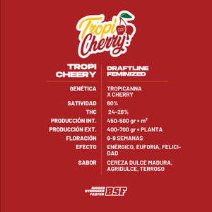 TropiCherry 4 Semillas Bsf Seeds