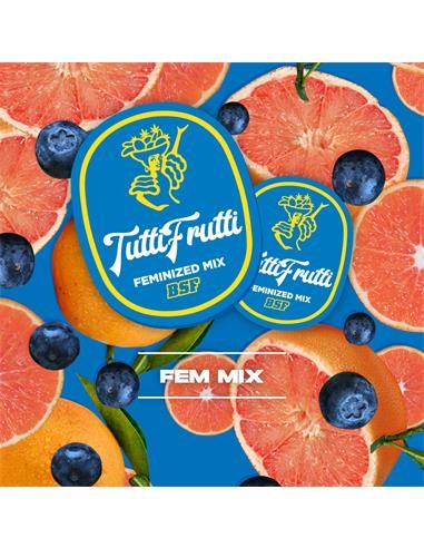 Tutti Frutti Feminized Mix 12 Semillas BSF Seeds