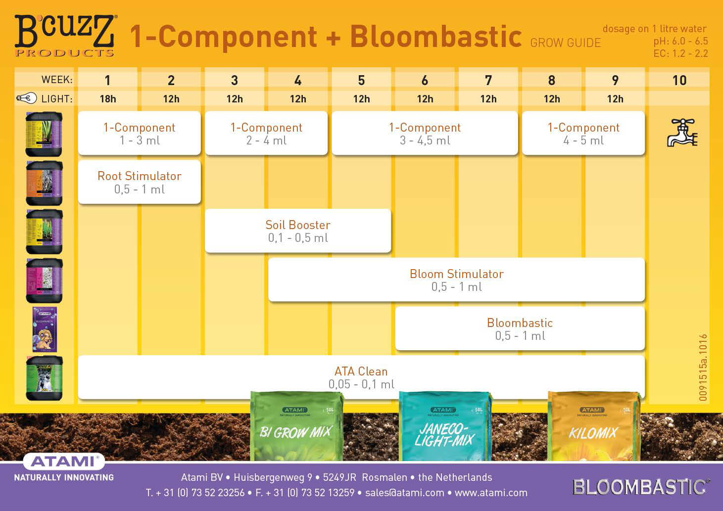 bcuzz-1-component-bloombastic